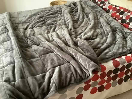 Photo of free Heavy grey velour blanket (Berrynarbor Ilfracombe) #2