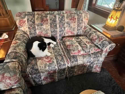 Photo of free Sofa Sleeper & Loveseat never used (East St. Paul) #4