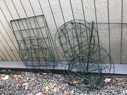 Photo of free lots of gardening stakes for plants (Bainbridge Island) #2
