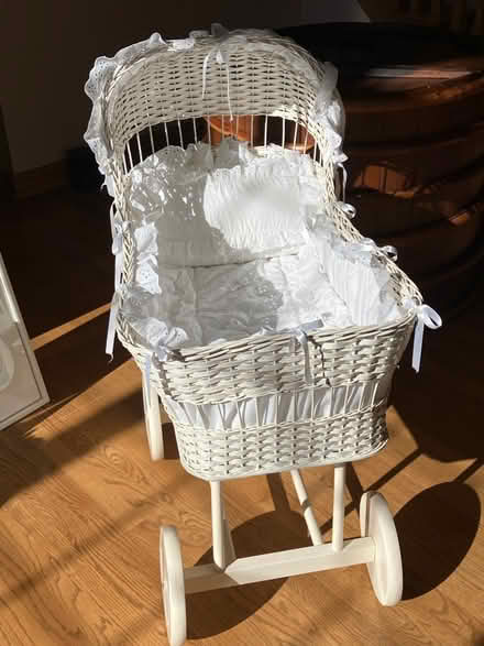 Photo of free Bassinet (Carpentersville, west of river) #1