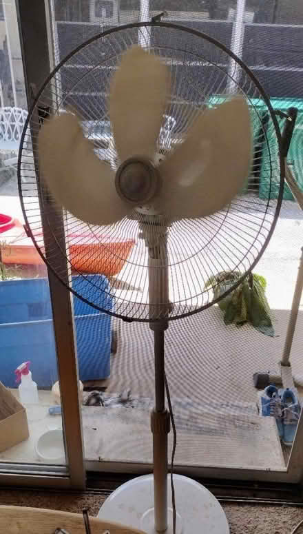 Photo of 🍀In Need - Electric Fans 33709 (St Pete / Kenneth City 33709) #2