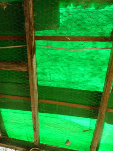 Photo of free 6 hollow corrugated plastic sheets (Arcata) #1