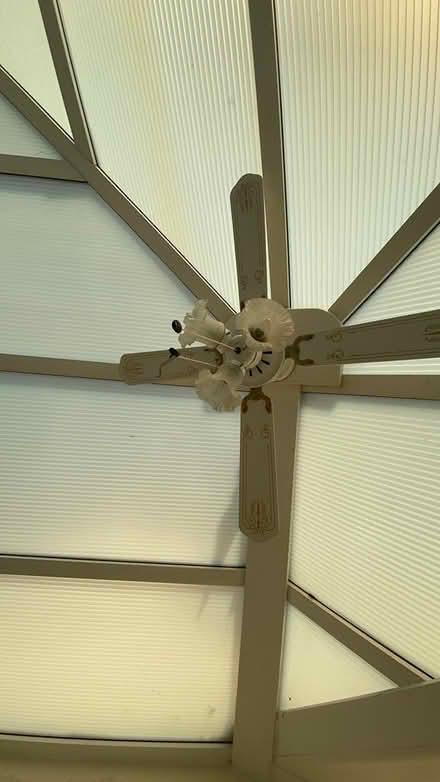 Photo of free Ceiling fan (Mill Lane crowborough TN6) #2