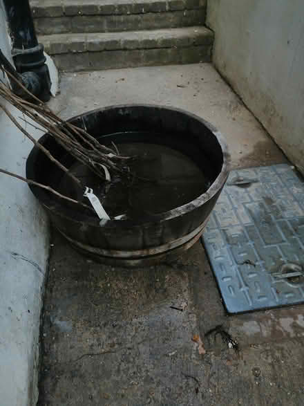 Photo of free Whisky barrel planter or pond (Tufnell Park, N7) #1