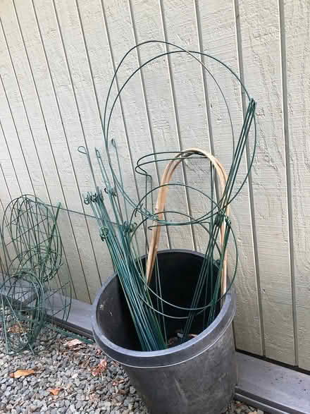 Photo of free lots of gardening stakes for plants (Bainbridge Island) #1