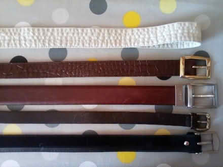 Photo of free Five belts (High Hurstwood TN22) #1