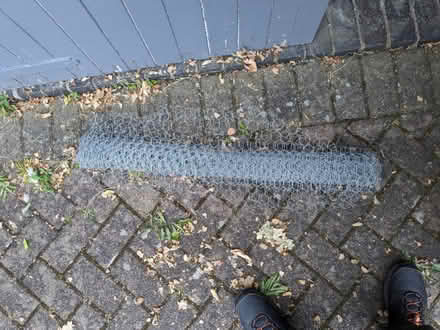 Photo of free Small amount of chicken wire (Cannon Park CV4) #2