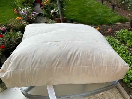 Photo of free sofa cushion (B32) #2