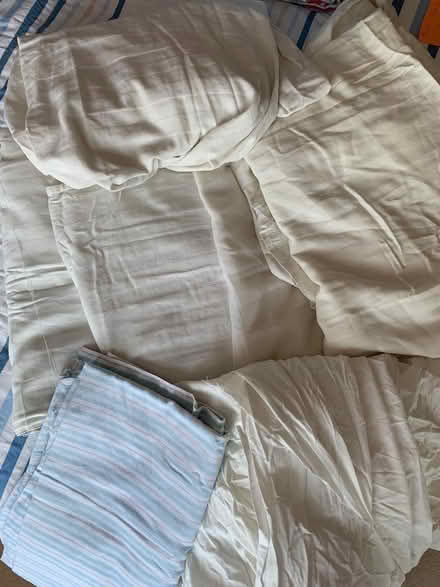 Photo of free Organic cotton fabric … ex-bed linen (Addiscombe CR0) #1