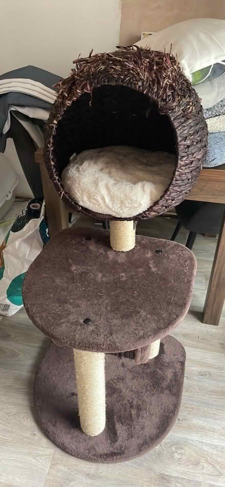 Photo of free Used cat stand (NP20) #2