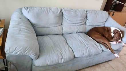 Photo of free comfy couch (Delray beach) #1