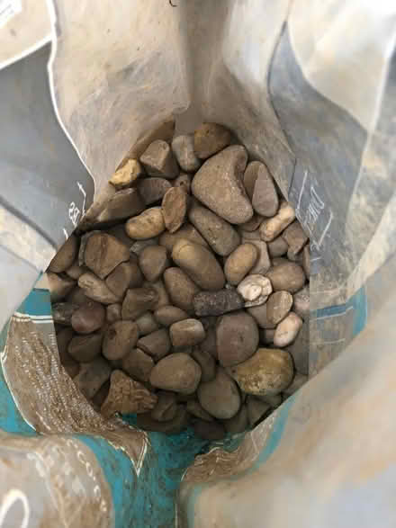 Photo of free Dorset pebbles (Sion Hill) #2