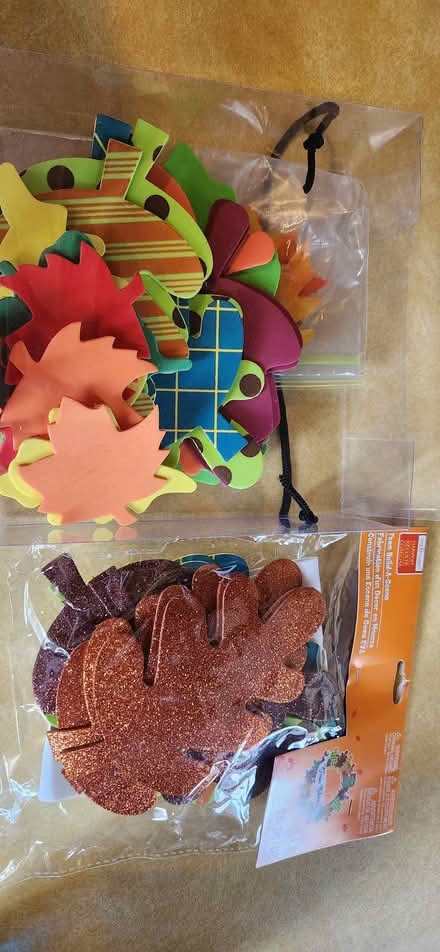 Photo of free Kids fall craft supplies (Allen Park - (94 & Southfield)) #1