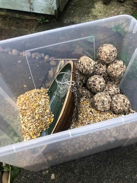 Photo of free Bird seed and fat balls (Rottingdean) #1