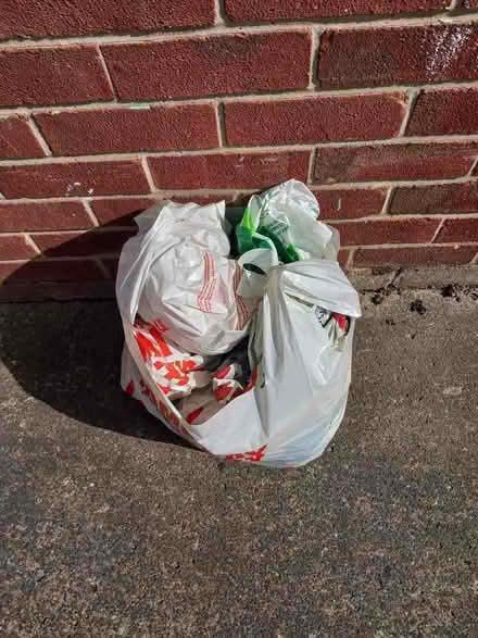 Photo of free Carrier Bags (Waldridge Park DH2) #1
