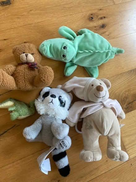 Photo of free Soft toys bundle (N5 Highbury) #1
