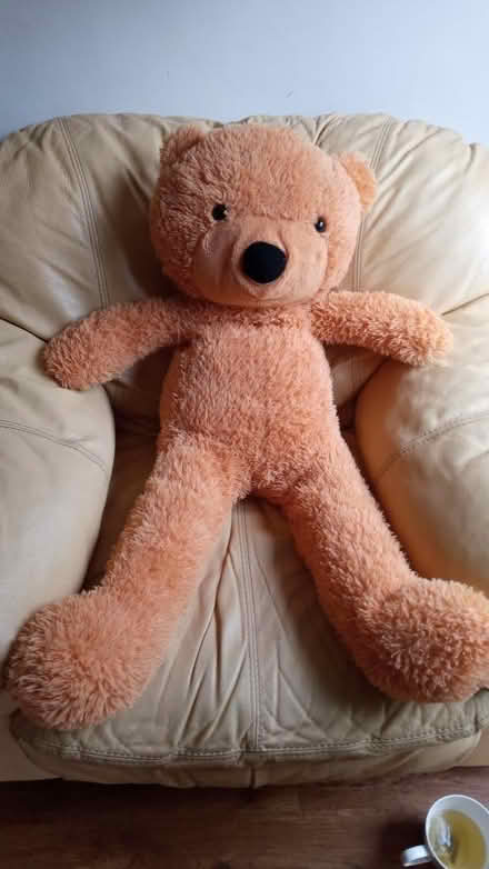 Photo of free Large cuddly bear c90cm tall (Coventry Tile Hill CV4) #1