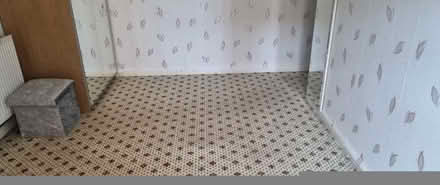 Photo of free Wilton carpet (East Dene S65) #2