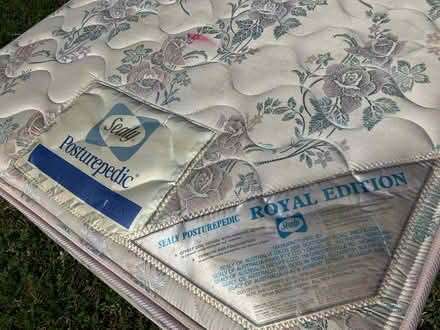 Photo of free Sealy single mattress (Hurlstone Park) #1