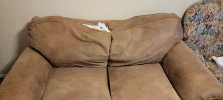 Photo of free Couche (Lomas And Eubank Area) #1