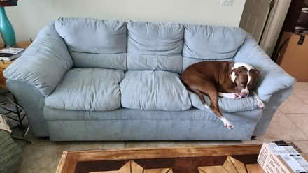 Photo of free comfy couch (Delray beach) #3