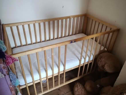 Photo of free Cot (Croydon) #1