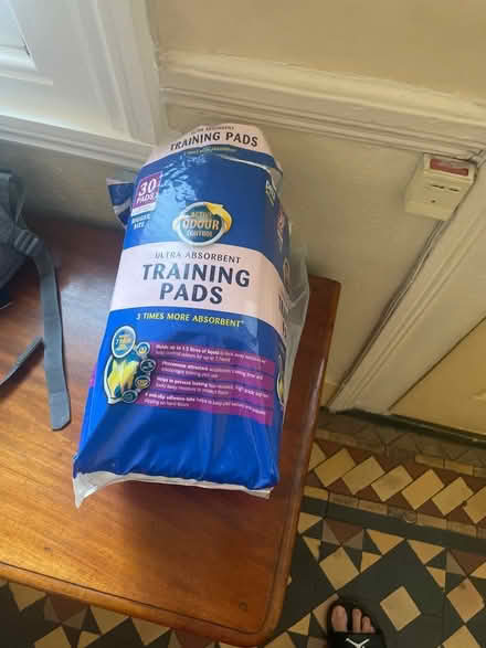 Photo of free Puppy training pads (Stoke Newington N16) #1