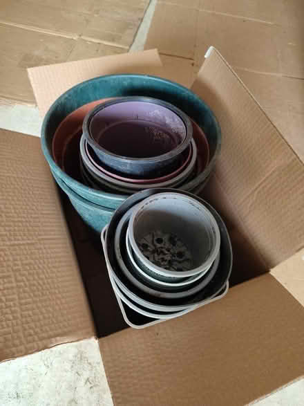 Photo of free Plastic Plant Pots (Swavesey CB24) #1