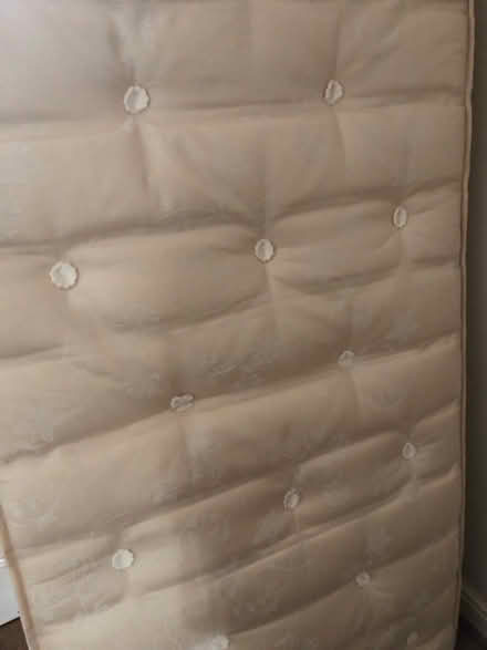 Photo of free Single mattress (Hilperton BA14) #2