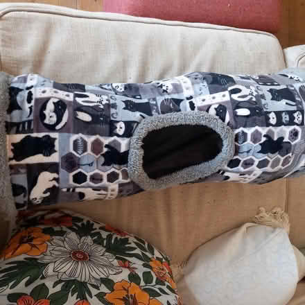 Photo of free Cat tunnel (Trimdon Station TS29) #2