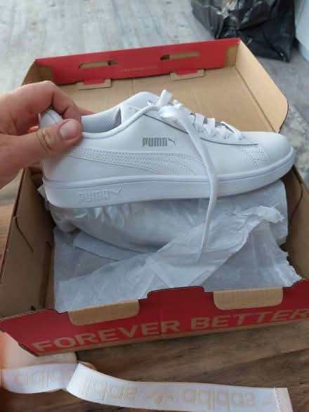 Photo of free Size 5 puma trainers (Farlington PO6) #1