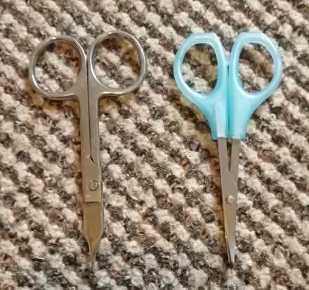 Photo of free Two Pairs Small Scissors (Nottingham NG7) #1