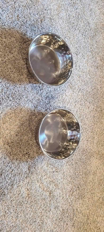Photo of free Stainless pet bowls (Elk Grove Village) #1