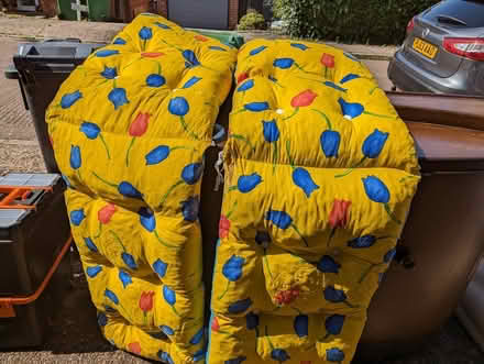 Photo of free Garden seat cushions (Exeter EX4) #1