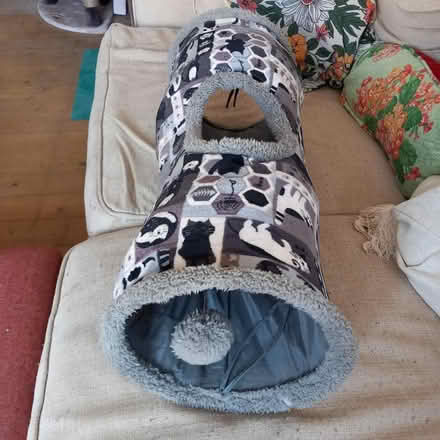 Photo of free Cat tunnel (Trimdon Station TS29) #1
