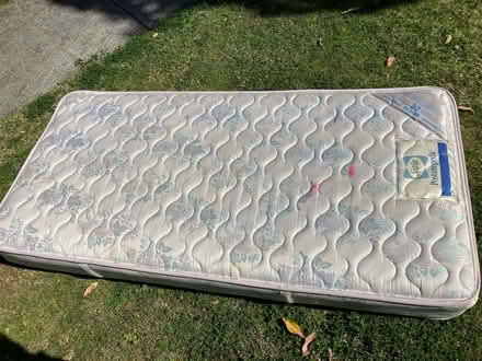 Photo of free Sealy single mattress (Hurlstone Park) #2