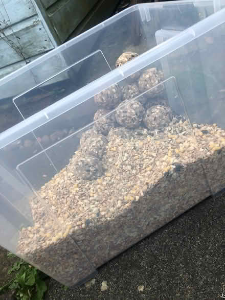 Photo of free Bird seed and fat balls (Rottingdean) #3