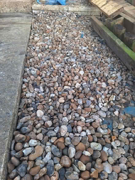 Photo of free Pebbles (Hollingdean BN1) #1