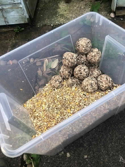 Photo of free Bird seed and fat balls (Rottingdean) #2