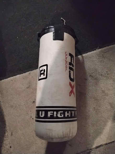 Photo of free FDX Junior Punchbag (Delapre) #3