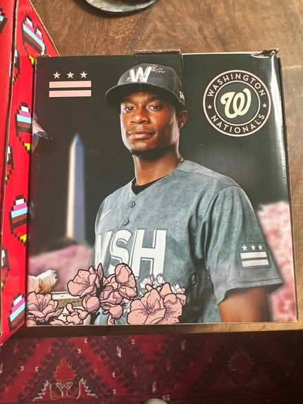Photo of free Washington Nationals Bobbleheads (Tanley Rd & New Hampshire Ave) #2