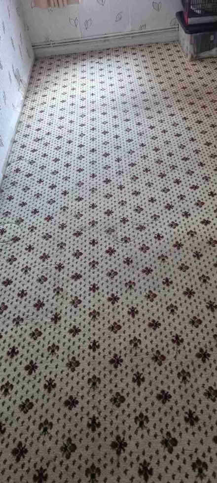 Photo of free Wilton carpet (East Dene S65) #1