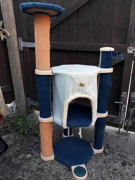 Photo of free Cat Tree (Henbury BS10) #1