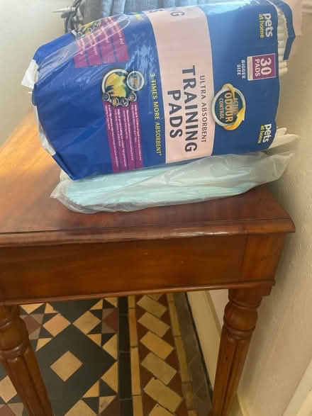 Photo of free Puppy training pads (Stoke Newington N16) #2