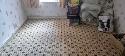 Photo of free Wilton carpet (East Dene S65) #3