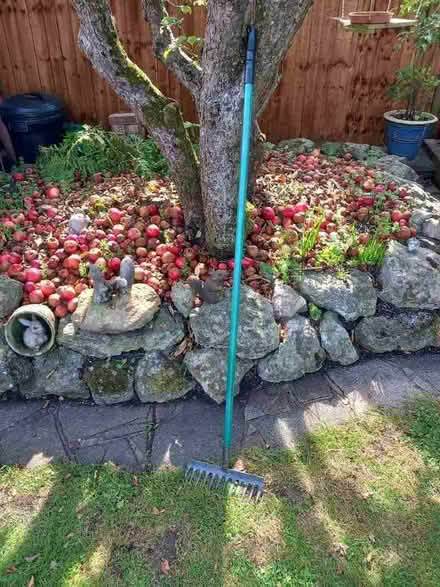 Photo of free Garden rake (Tylers Green RH9) #1