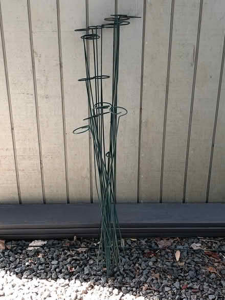 Photo of free lots of gardening stakes for plants (Bainbridge Island) #3