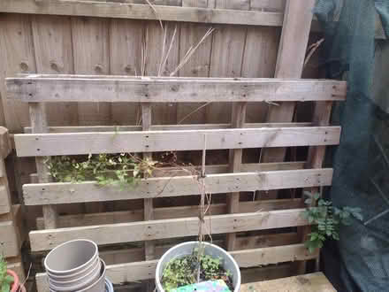 Photo of free pallets (Liverpool 25) #1