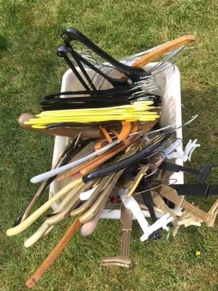 Photo of free Coathangers (Roebuck SG2) #2