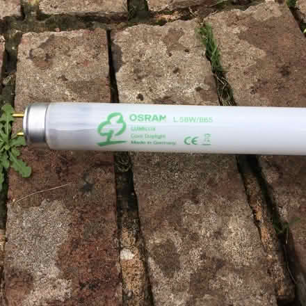 Photo of free Six fluorescent tubes (EX4) #1